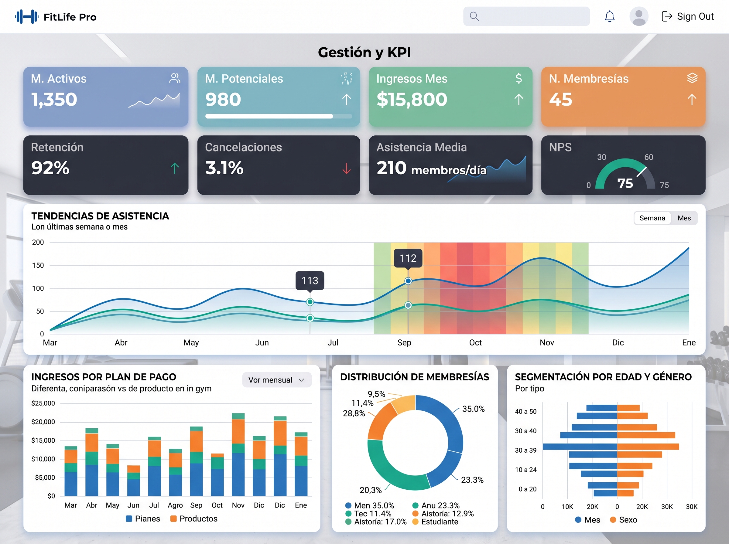 Dashboard Principal